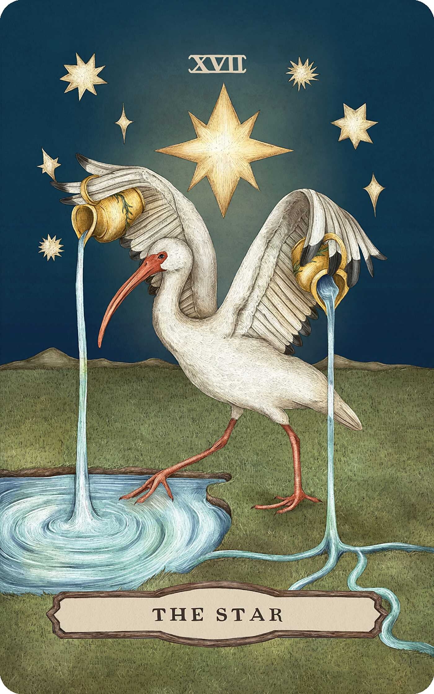 Tarot card featuring an ibis pouring water from a cup into a well, with stars in the background.