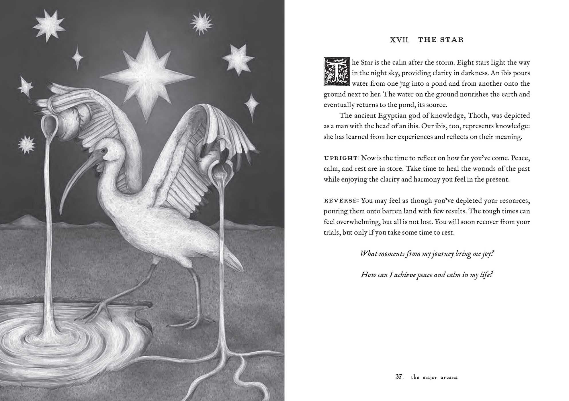 Illustration of a heron with stars and text on a dark background