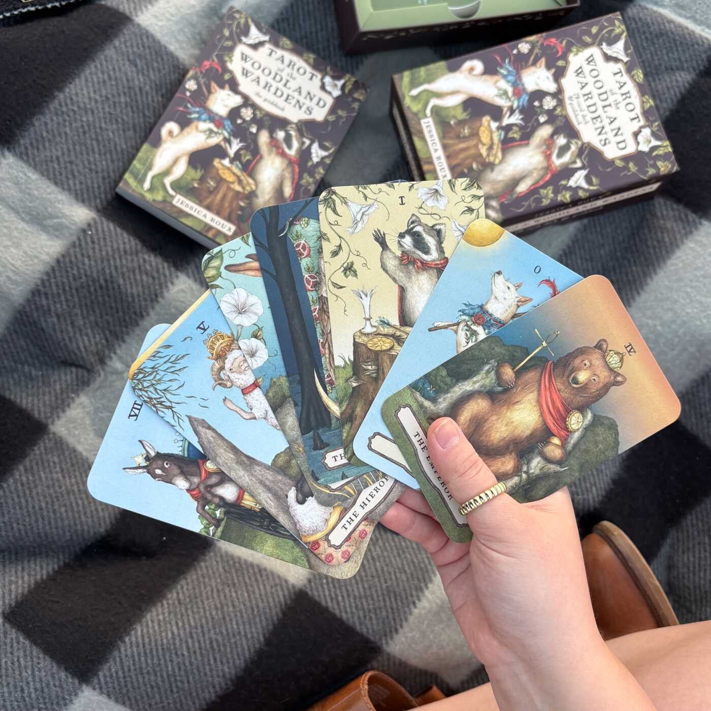 Collection of tarot cards with fantasy designs on a checkered fabric background