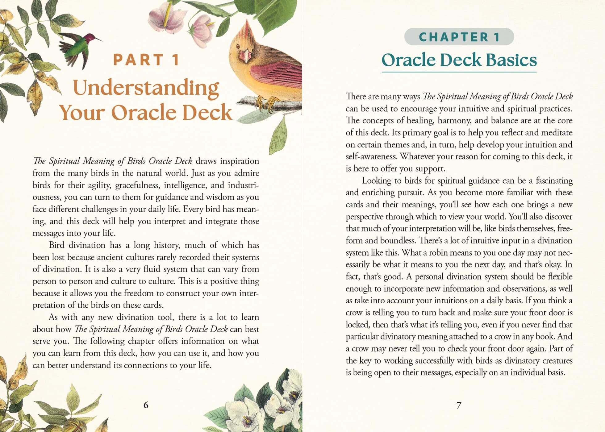 Spiritual Meaning of Birds Oracle Deck By Arin Murphy-Hiscock