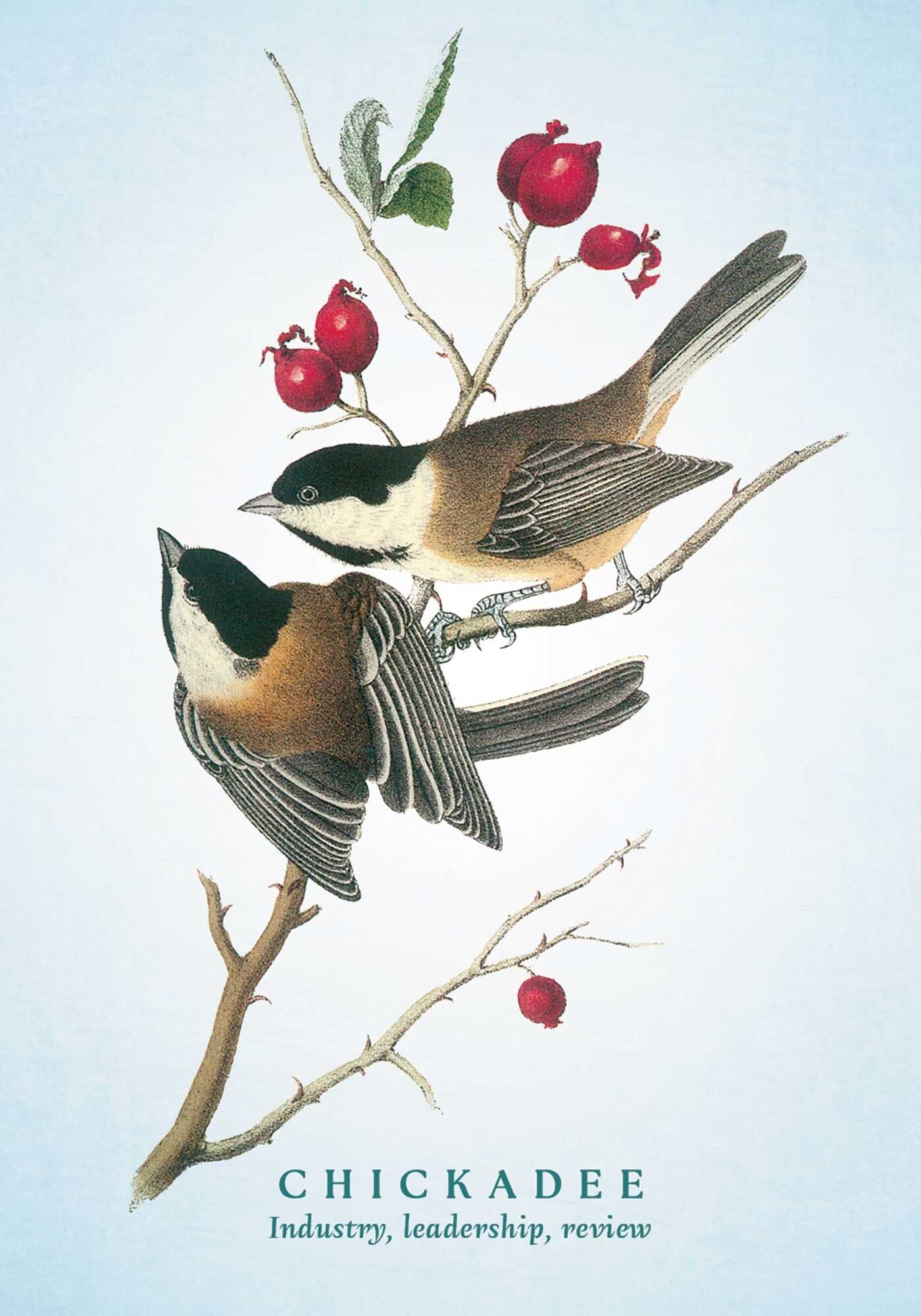Spiritual Meaning of Birds Oracle Deck By Arin Murphy-Hiscock