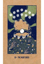 Illustration of a shell with stars and nature elements on a brown background