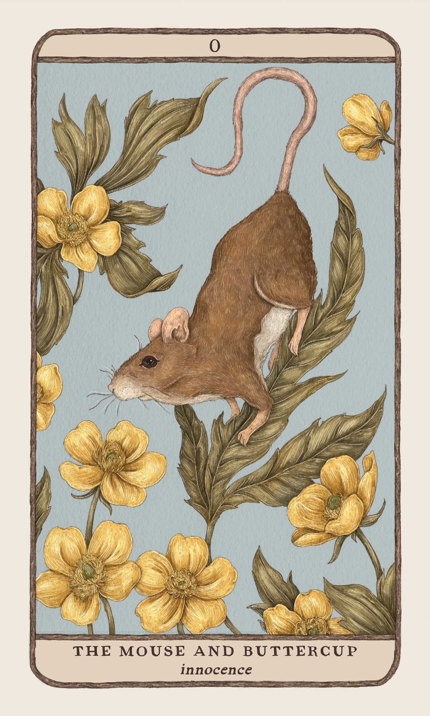 Illustration of a mouse and buttercup flowers on a card with text 'The Mouse and Buttercup' and 'innocence'.