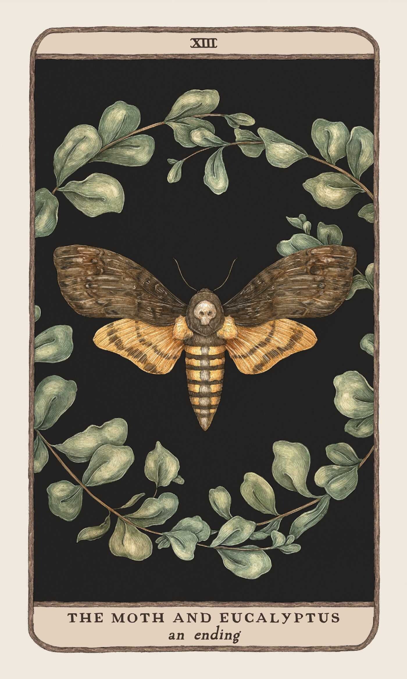 Vintage-style card featuring a moth and eucalyptus leaves on a dark background