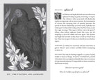 Illustration of a vulture with asphodel flowers and text on a white background