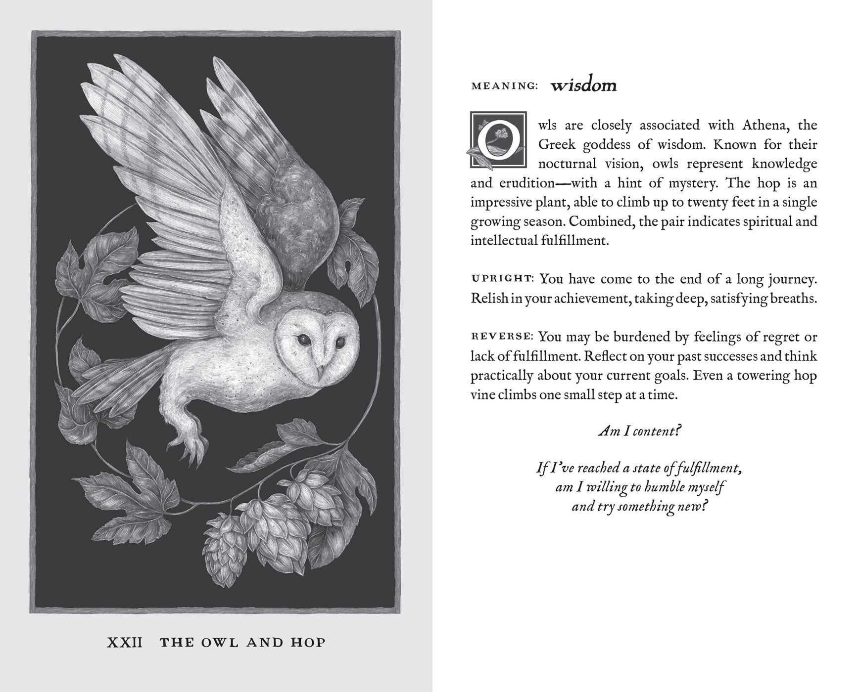 Illustration of an owl with leaves and hops, accompanied by text on a black background.